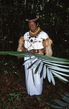 851_Uitleg over het leven in het regenwoud, Cuyabeno NP